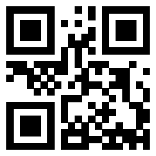 Il Qr Code di 3913833629
