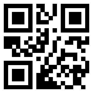 Il Qr Code di 3913833699
