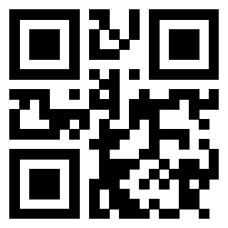 Il Qr Code di 3913833874