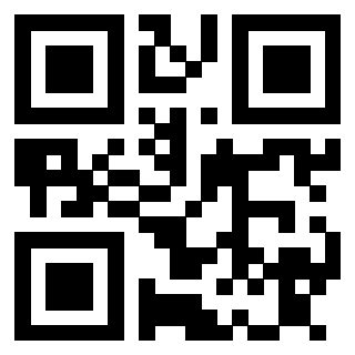 Il Qr Code di 3913833875