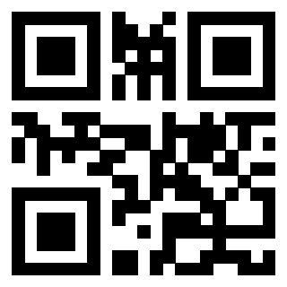 Il Qr Code di 3913833906