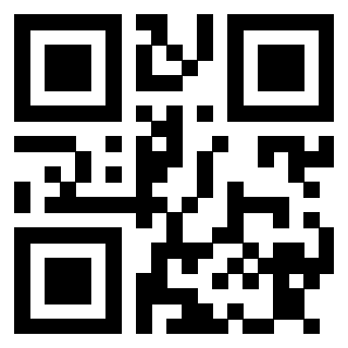 Il Qr Code di 3913833924