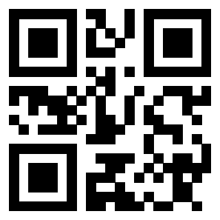 Il Qr Code di 3913834066