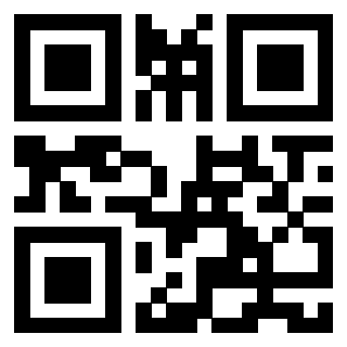 Il Qr Code di 3913834305