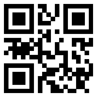 Il Qr Code di 3913835905