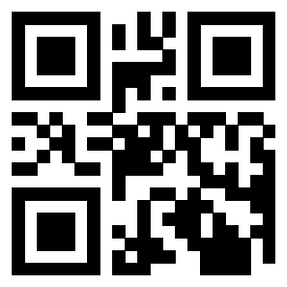 Il Qr Code di 3913836025