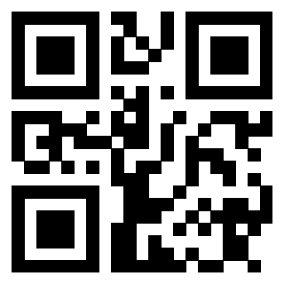 Il Qr Code di 3913836070