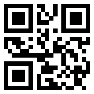 3913836096 QrCode associato