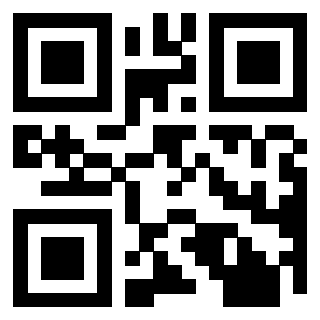 Il Qr Code di 3913836151