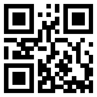 Il Qr Code di 3913836193