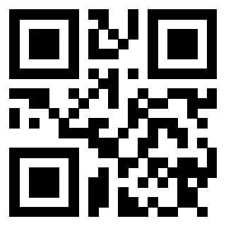 Il Qr Code di 3913836259