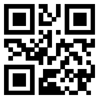 Il Qr Code di 3913836299