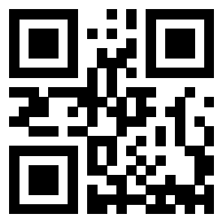 Il Qr Code di 3913836324