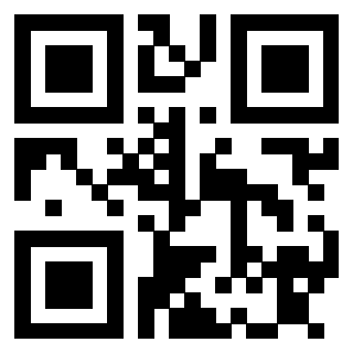 Il Qr Code di 3913836367