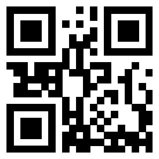 Il Qr Code di 3913836594