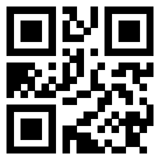 Il Qr Code di 3913836638