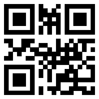 Il Qr Code di 3913836711