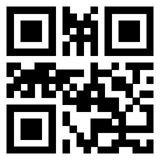 Il Qr Code di 3913839036