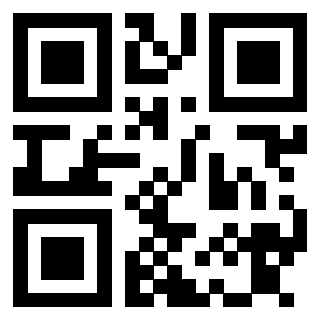 Il Qr Code di 3913839302