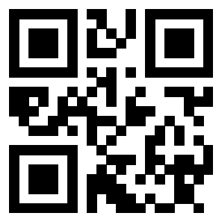 QrCode di 3913839317