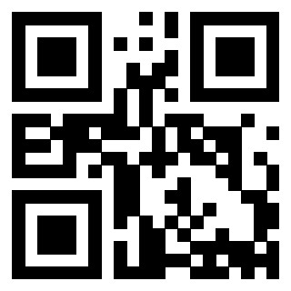 Il Qr Code di 3913839616