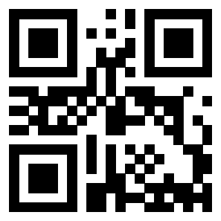 Il Qr Code di 3913839768