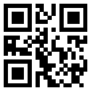 Il Qr Code di 3913839906