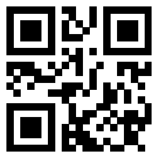 Il Qr Code di 3913839924