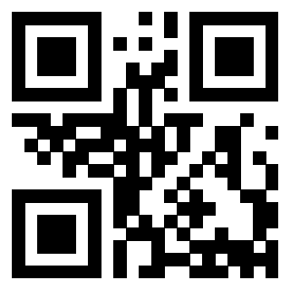Il Qr Code di 3913839951