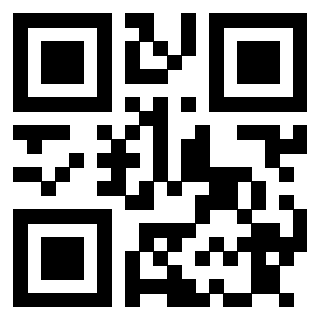 Il Qr Code di 3913863498