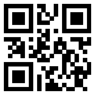 Il Qr Code di 3913863507