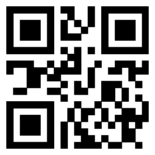 Il Qr Code di 3913863691