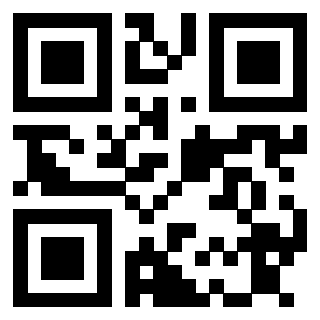 Il Qr Code di 3913863802