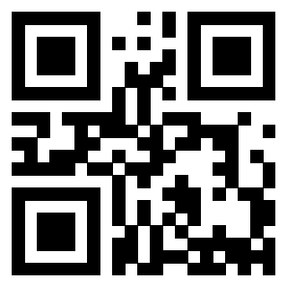 Il Qr Code di 3913863833