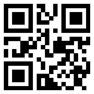 Il Qr Code di 3913863844