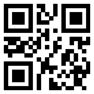Il Qr Code di 3913863966