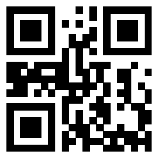 Il Qr Code di 3913863993