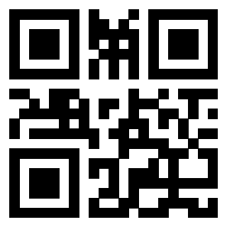 Il Qr Code di 3913864031