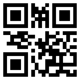 Il Qr Code di 3913864057