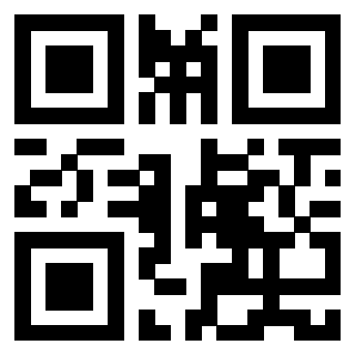 Il Qr Code di 3913864067