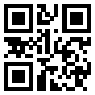 Il Qr Code di 3913876053