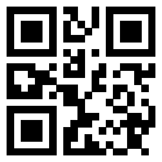Il Qr Code di 3913876132