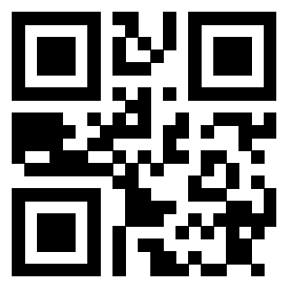 3913876136 QrCode associato