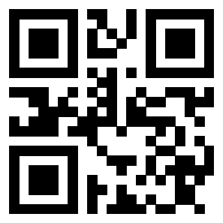Il Qr Code di 3913876223