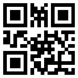 Il Qr Code di 3913876303