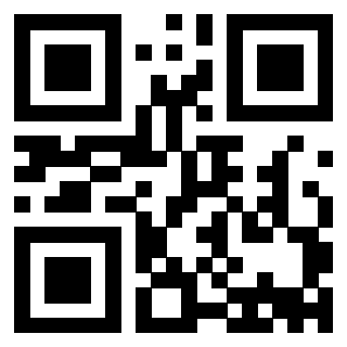 Il Qr Code di 3913876316