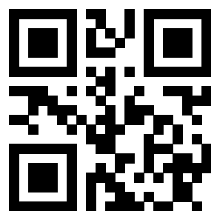 Il Qr Code di 3913876317