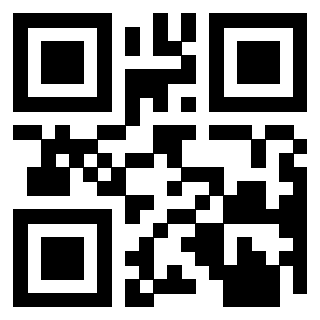Il Qr Code di 3913876449
