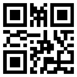 Il Qr Code di 3913876512