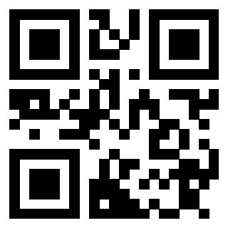 Il Qr Code di 3913876526